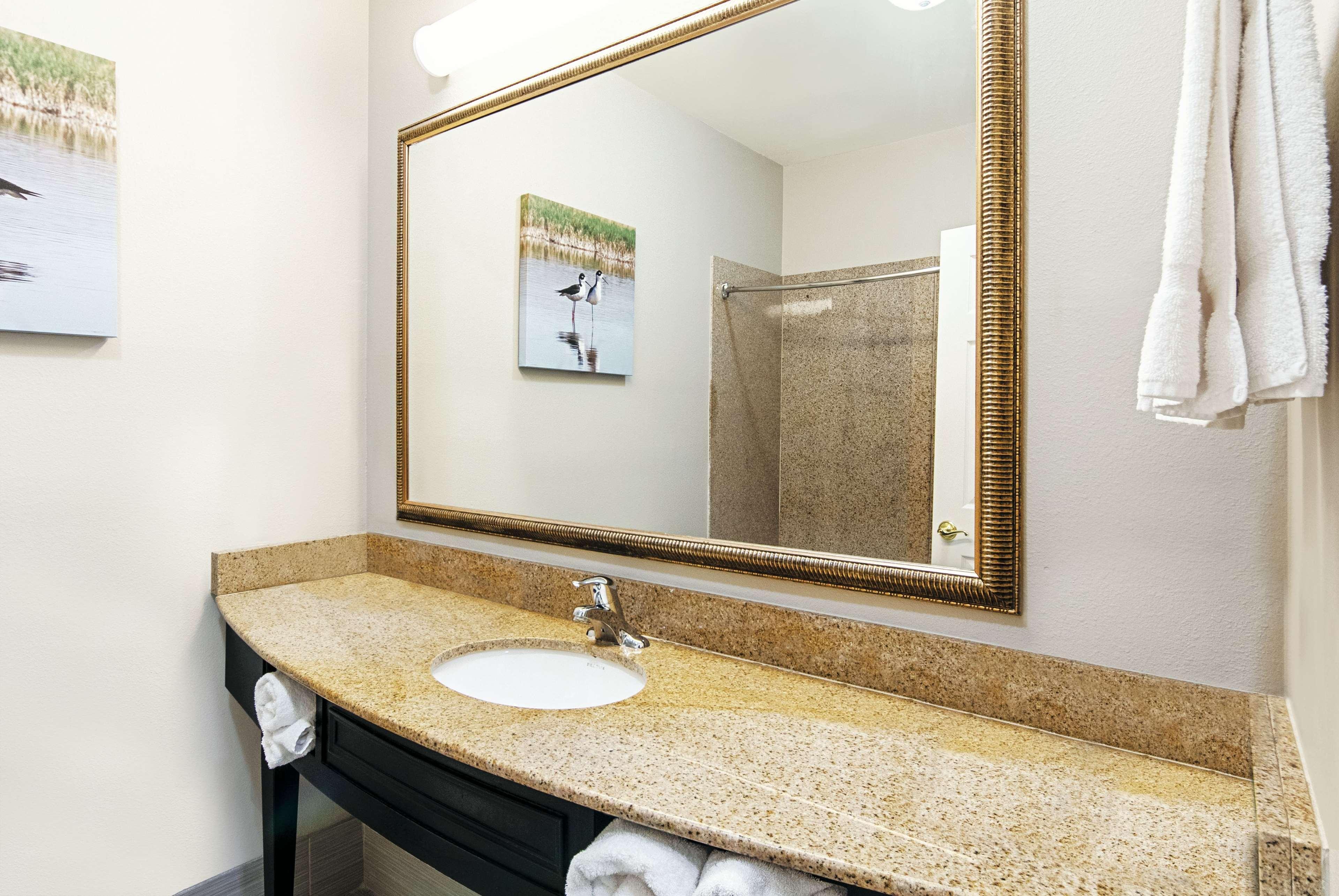 La Quinta By Wyndham Alamo-Mcallen East Экстерьер фото